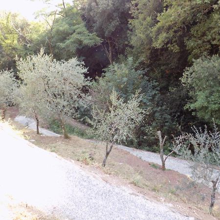 카마이오레 Fattoria Ceragioli 빌라 외부 사진