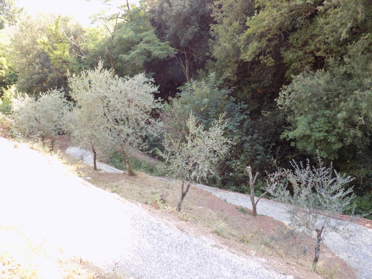 카마이오레 Fattoria Ceragioli 빌라 외부 사진
